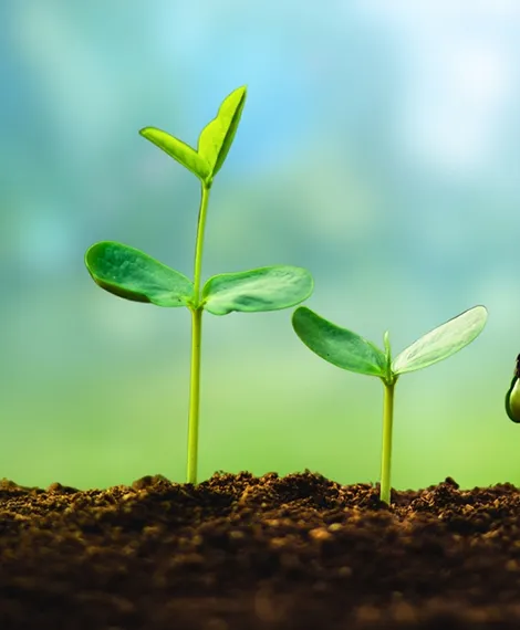 Greater-Growth-Potential-Envision