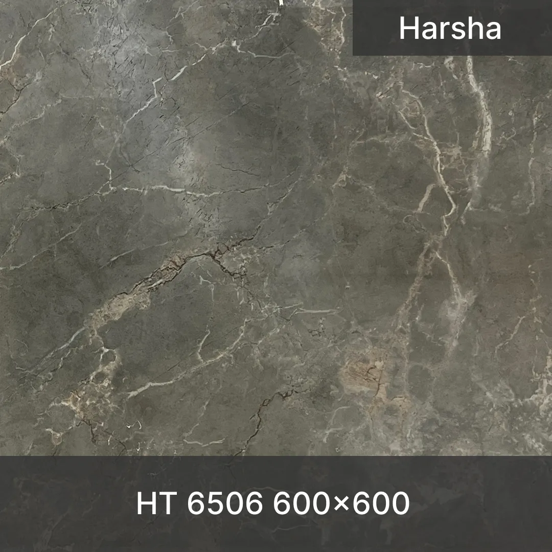 Harsha-HT-6506-600x600mm