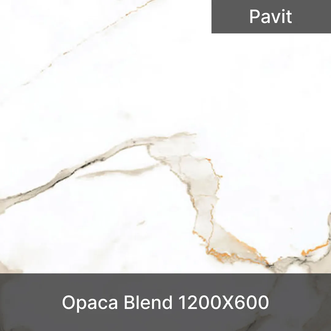 pavit_opaca_blend_1200mm_x_600mm