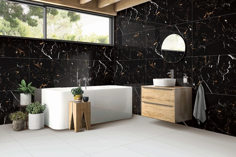 Preview For - Black Tulip