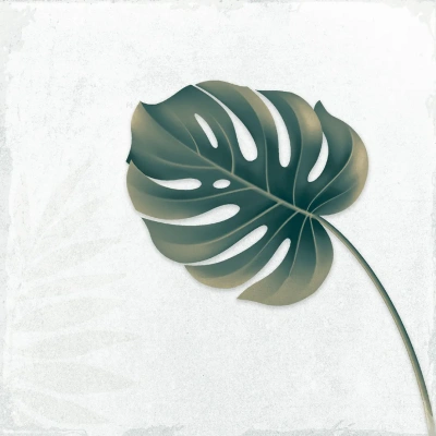 Arnia Leaf Blanco