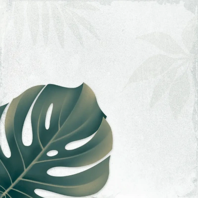 Arnia Leaf Blanco_R6