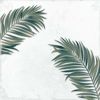 Arnia Leaf Blanco_R5