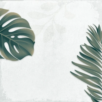 Arnia Leaf Blanco_R9
