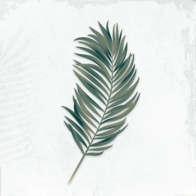 Arnia Leaf Blanco_R4