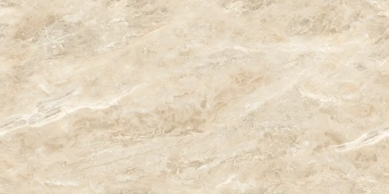 Selva Camel_R2