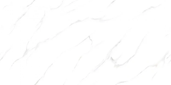 Satuario Miracle-P3