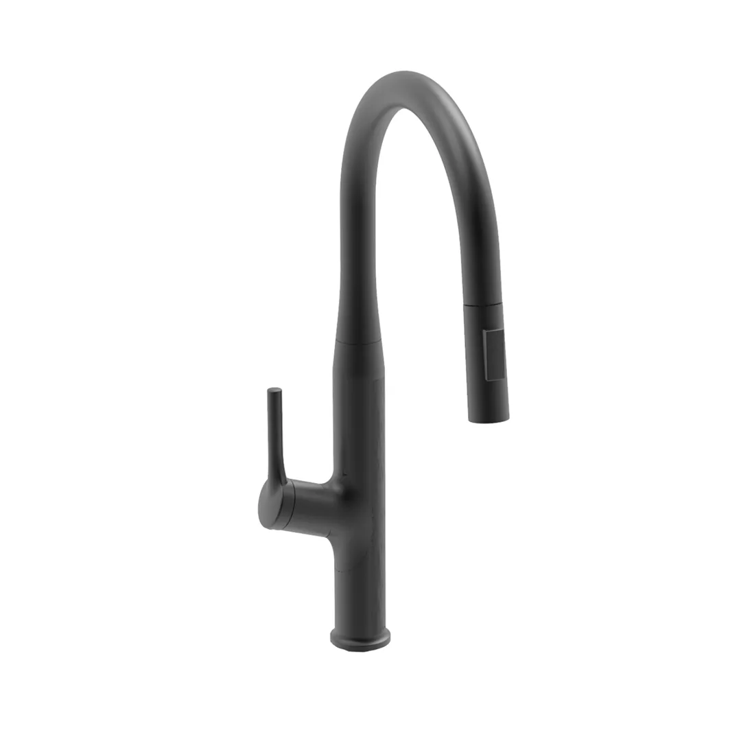 Matt Black Kitchen Faucet